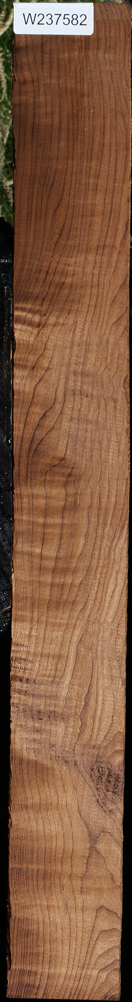Figured Caramelized Birch Lumber