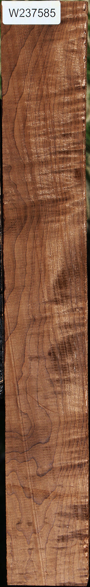 Figured Caramelized Birch Lumber