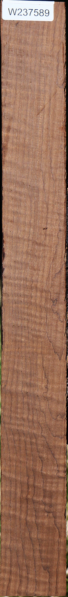 Figured Caramelized Birch Lumber