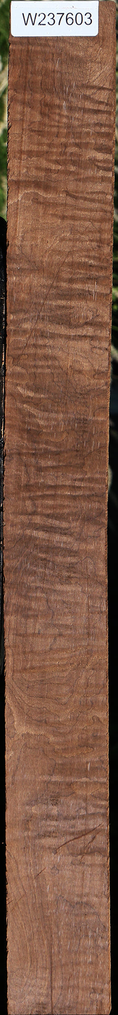 Figured Caramelized Birch Lumber