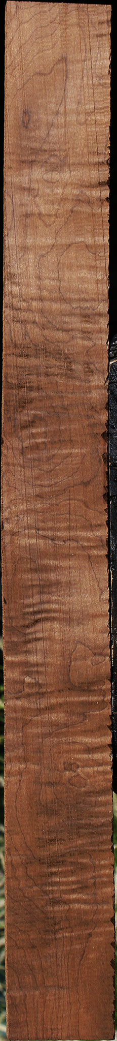 Figured Caramelized Birch Lumber