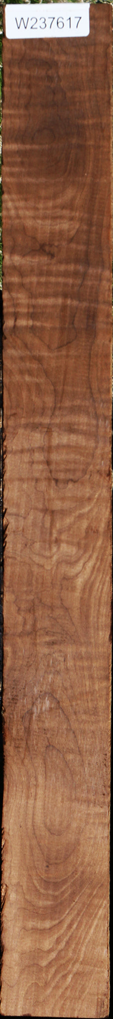 Extra Fancy Caramelized Birch Lumber