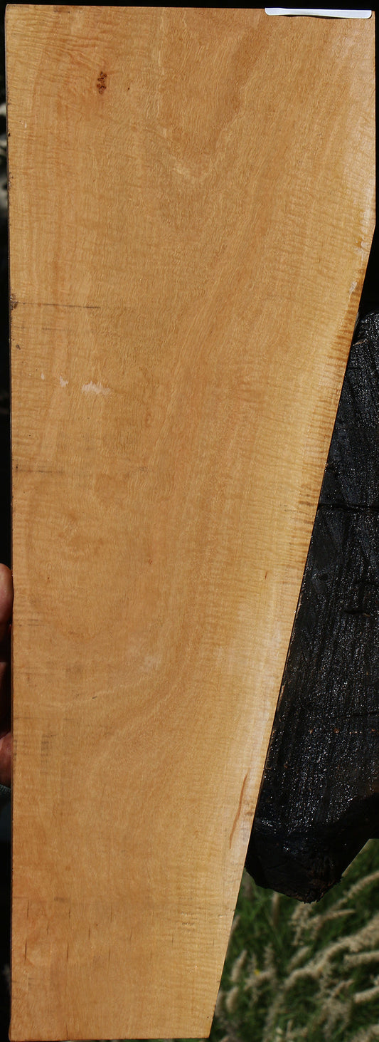 Extra Fancy Eucalyptus Micro Lumber