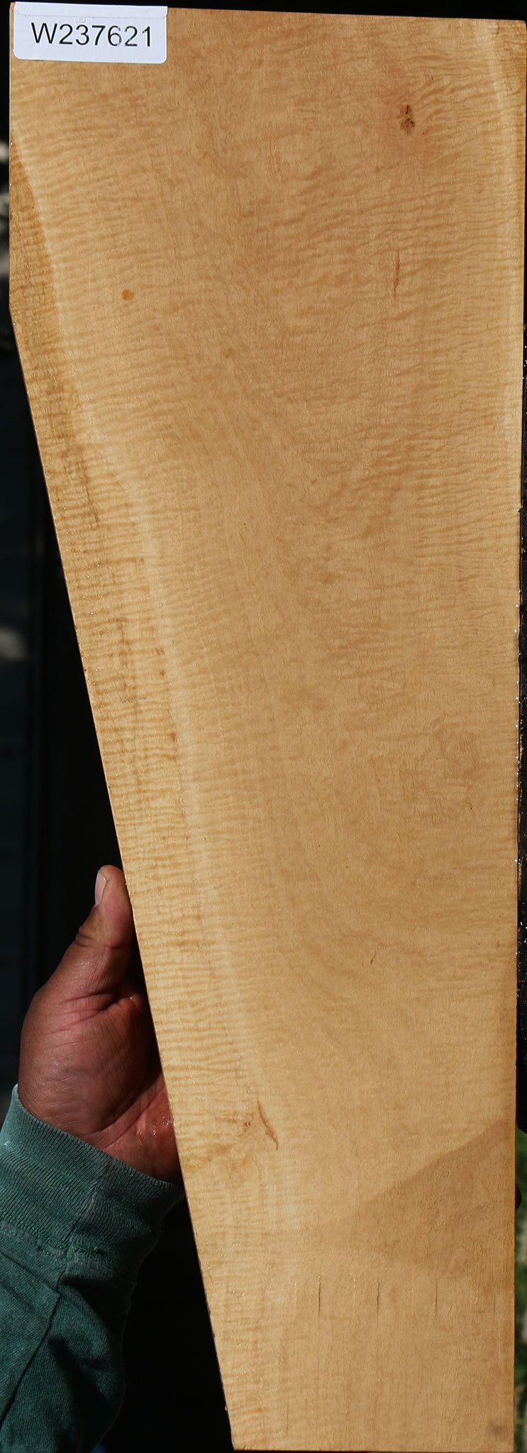 Extra Fancy Eucalyptus Micro Lumber