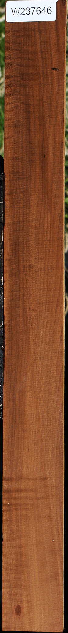 Extra Fancy Caramelized Birch Lumber