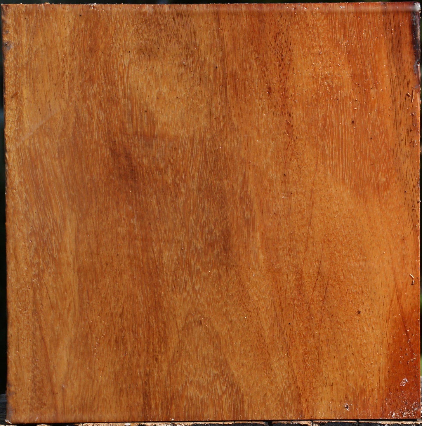 Red Cumaru Bowl Blank