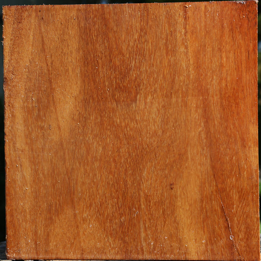 Red Cumaru Bowl Blank