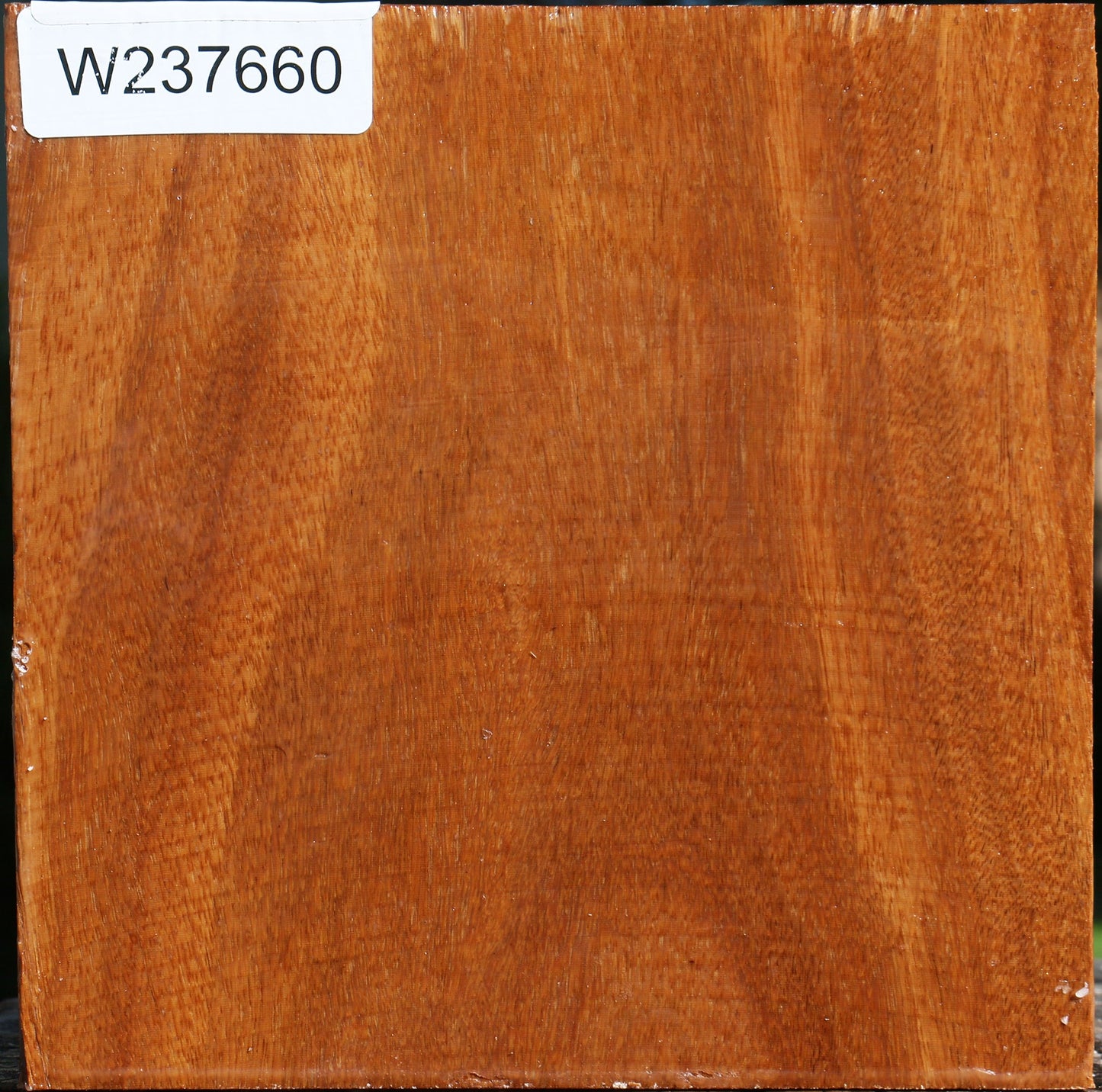 Red Cumaru Bowl Blank