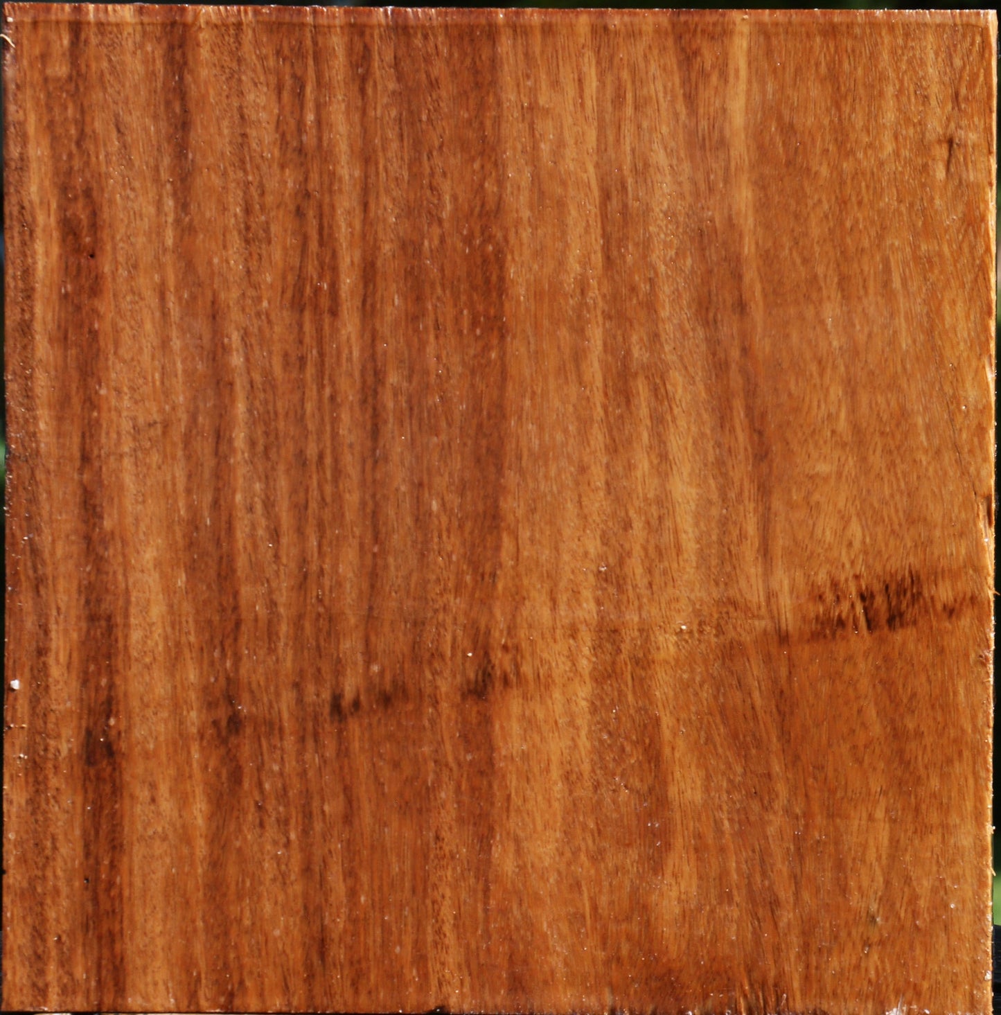 Red Cumaru Bowl Blank