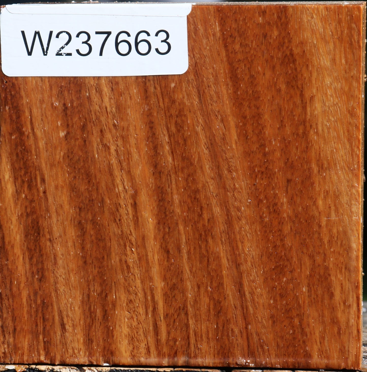 Red Cumaru Bowl Blank