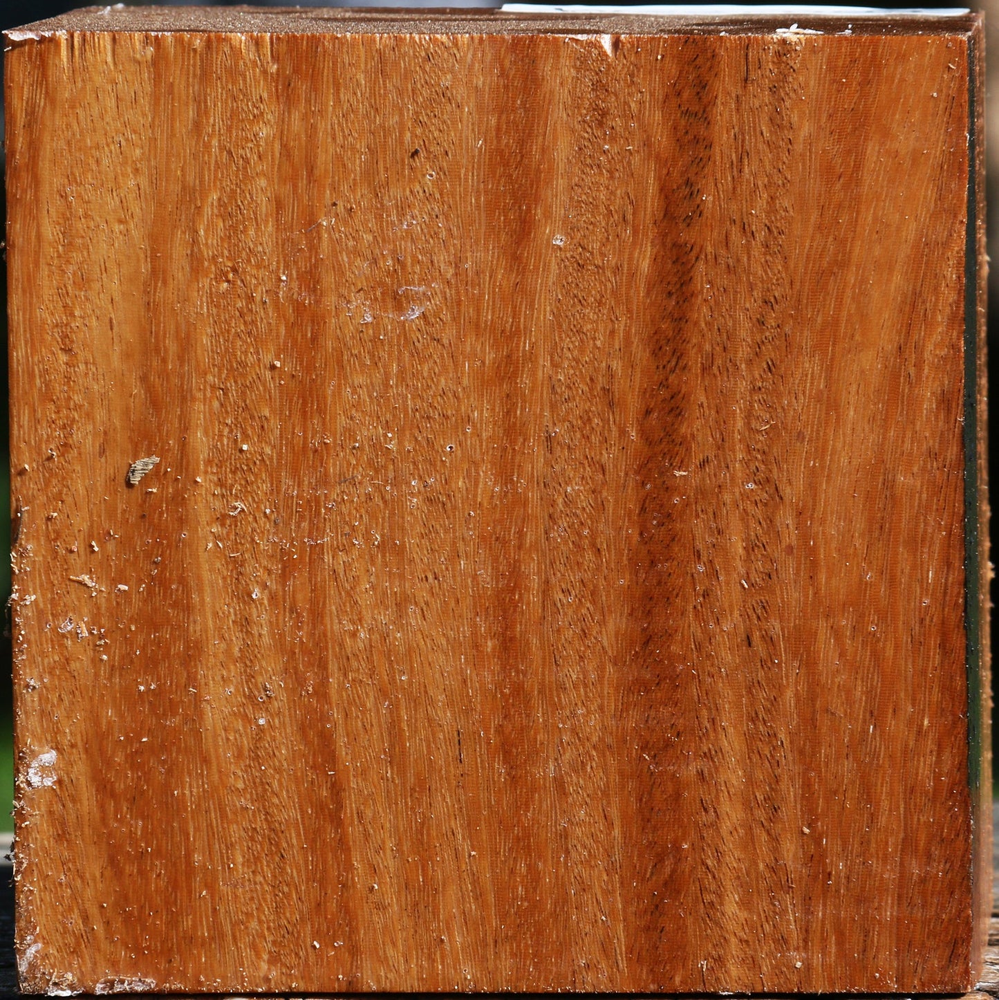 Red Cumaru Bowl Blank