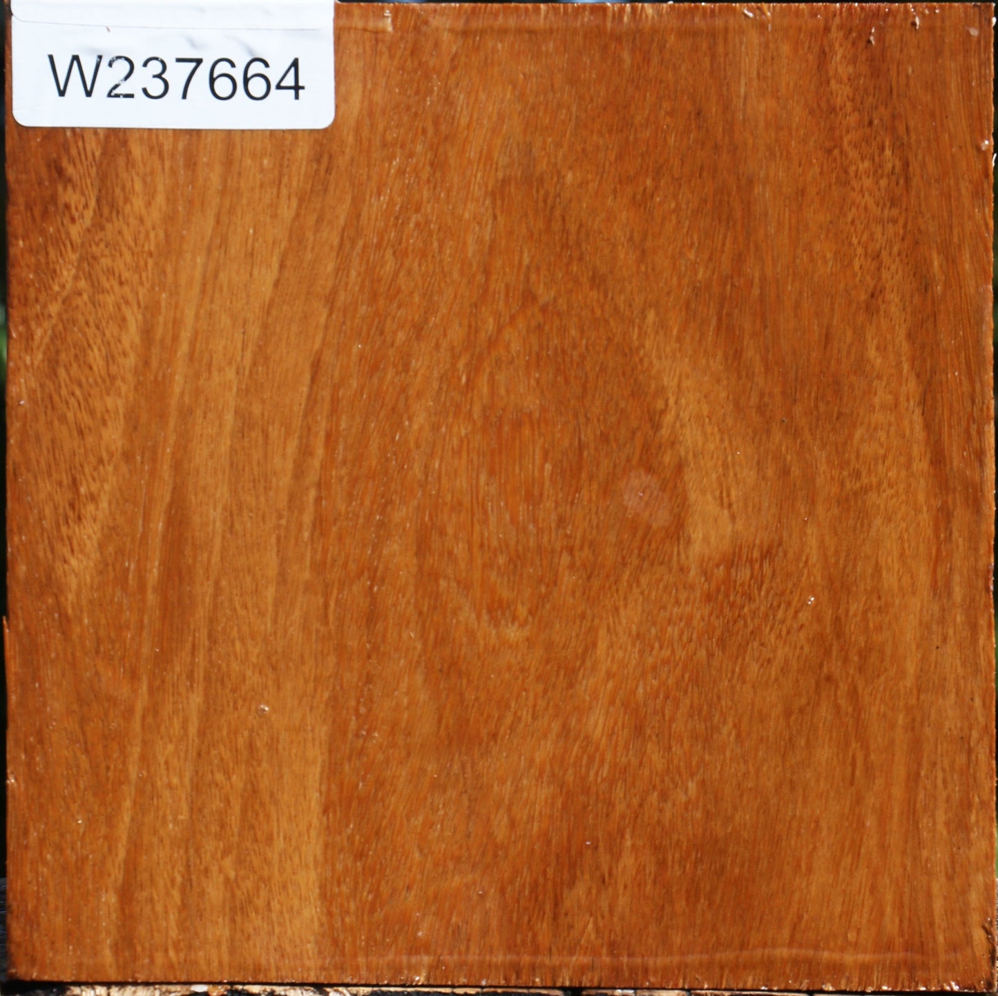 Red Cumaru Bowl Blank