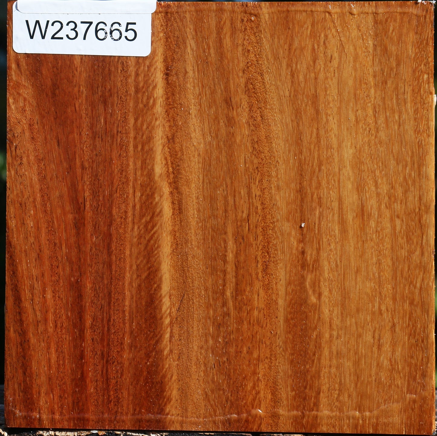 Red Cumaru Bowl Blank