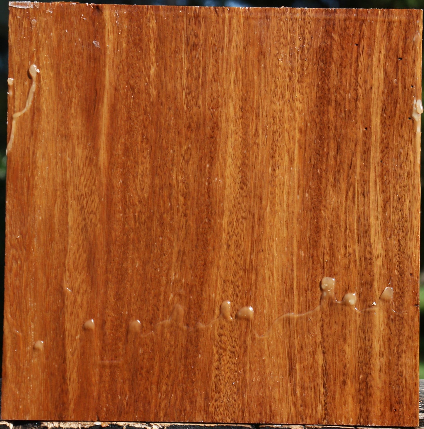 Red Cumaru Bowl Blank