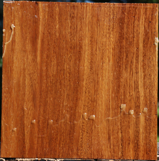 Red Cumaru Bowl Blank