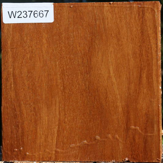 Red Cumaru Bowl Blank