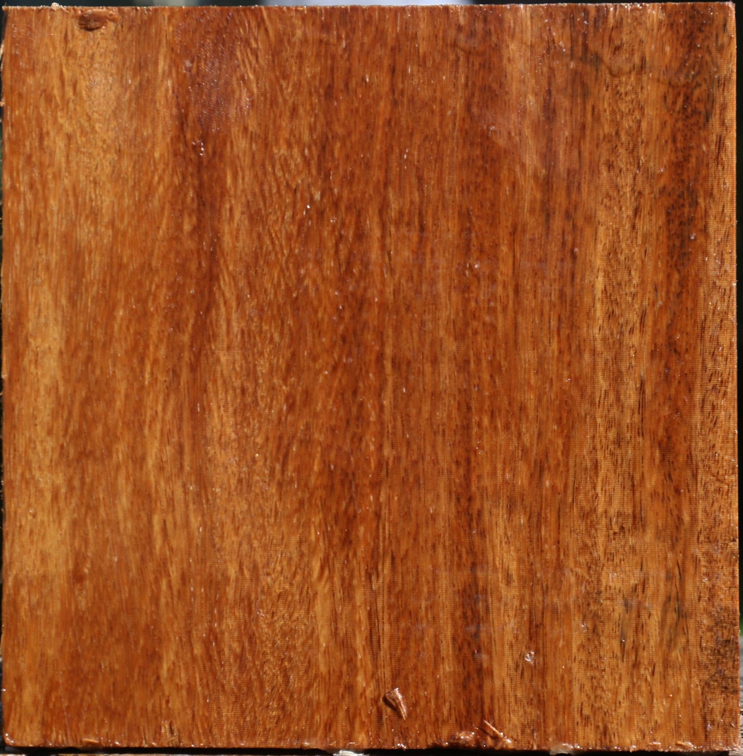 Red Cumaru Bowl Blank