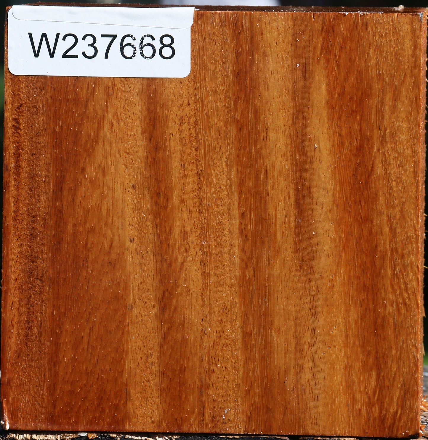 Red Cumaru Bowl Blank