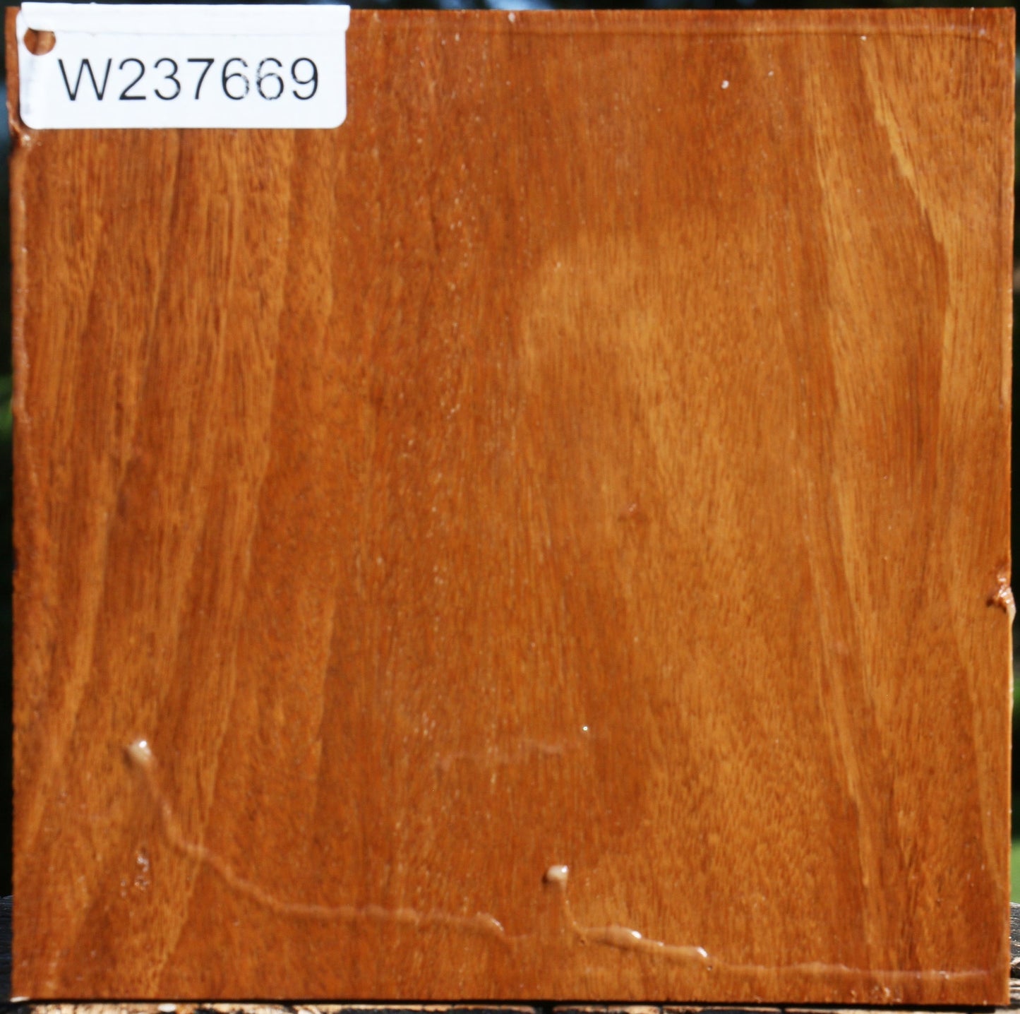 Red Cumaru Bowl Blank