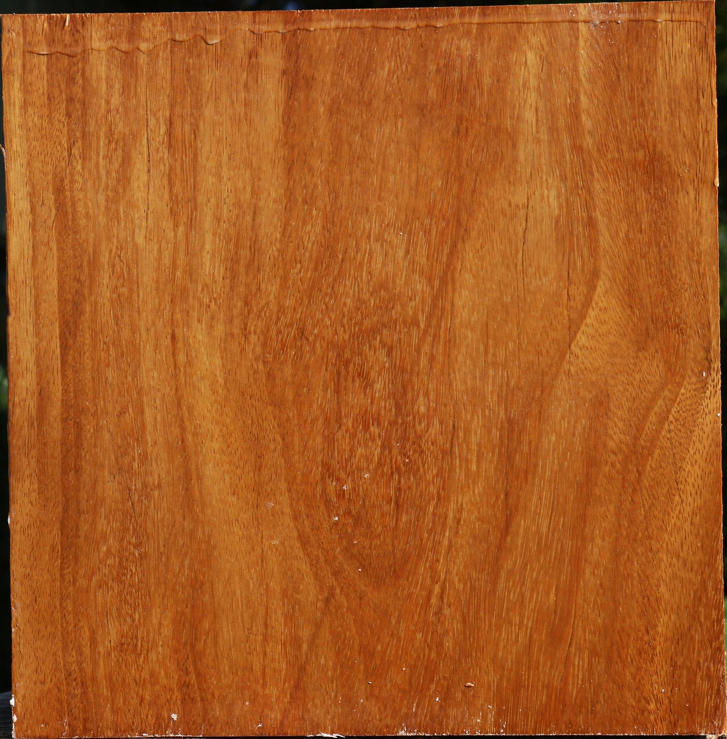 Red Cumaru Bowl Blank