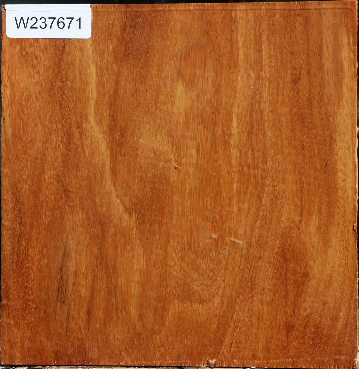 Red Cumaru Bowl Blank