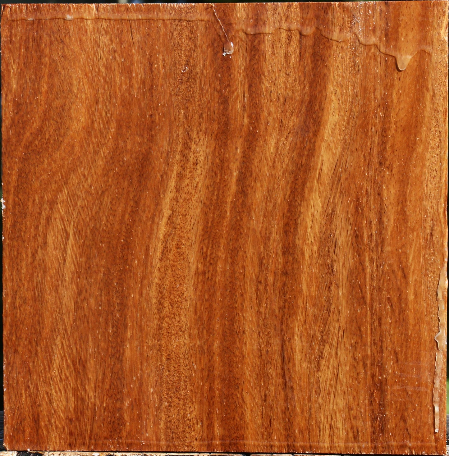 Red Cumaru Bowl Blank