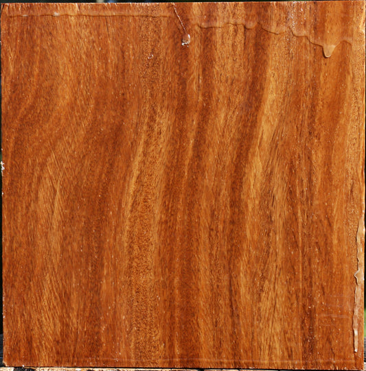 Red Cumaru Bowl Blank