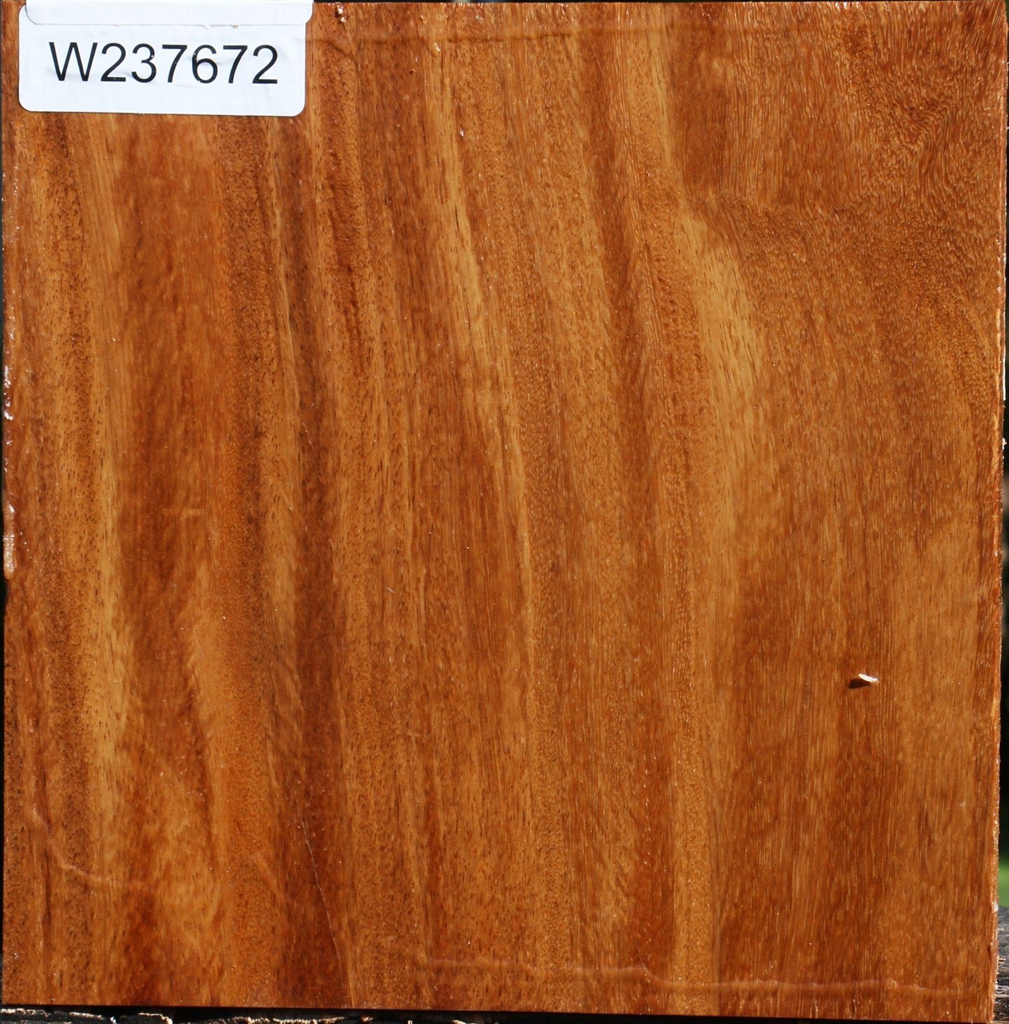 Red Cumaru Bowl Blank