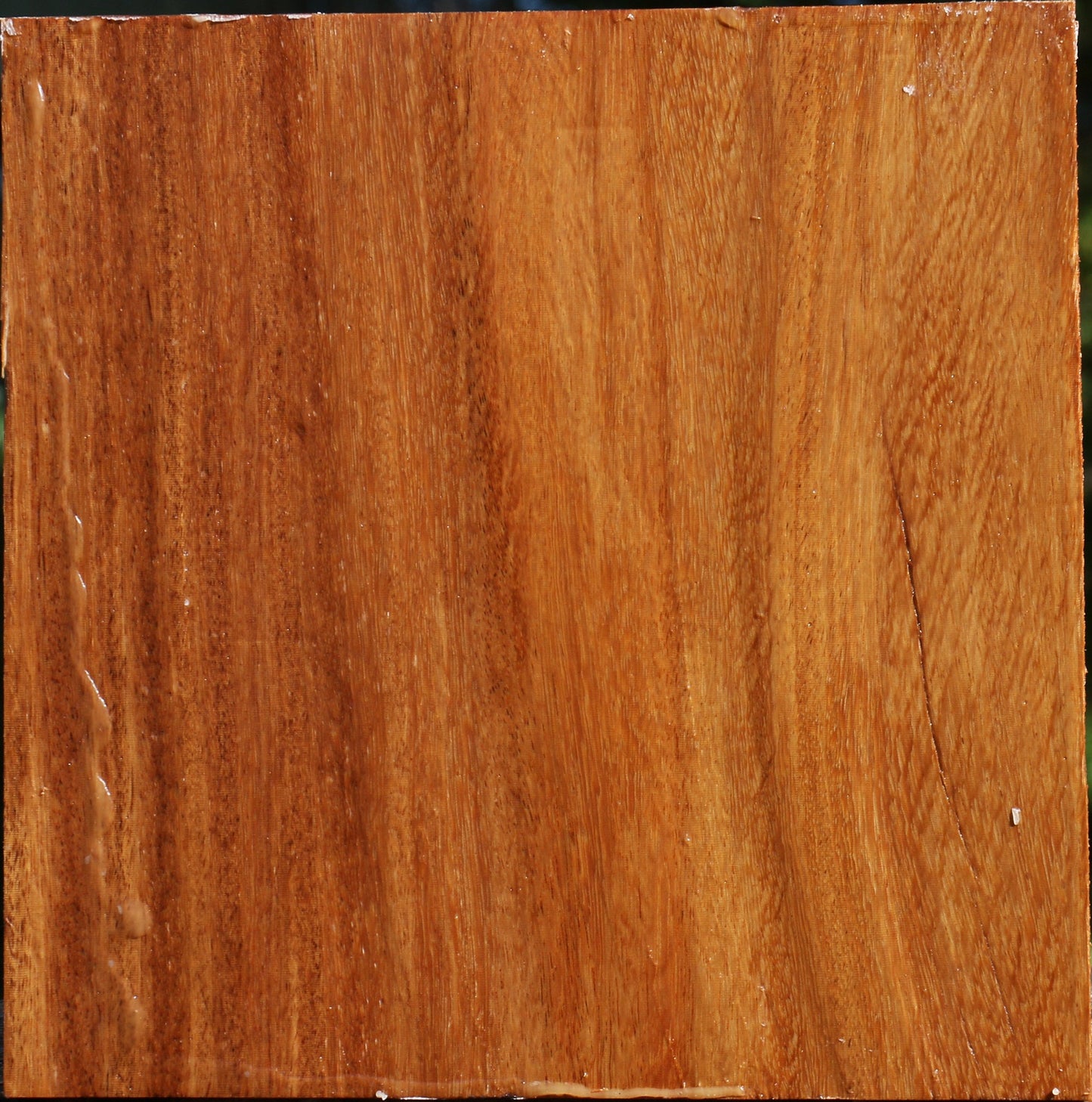 Red Cumaru Bowl Blank