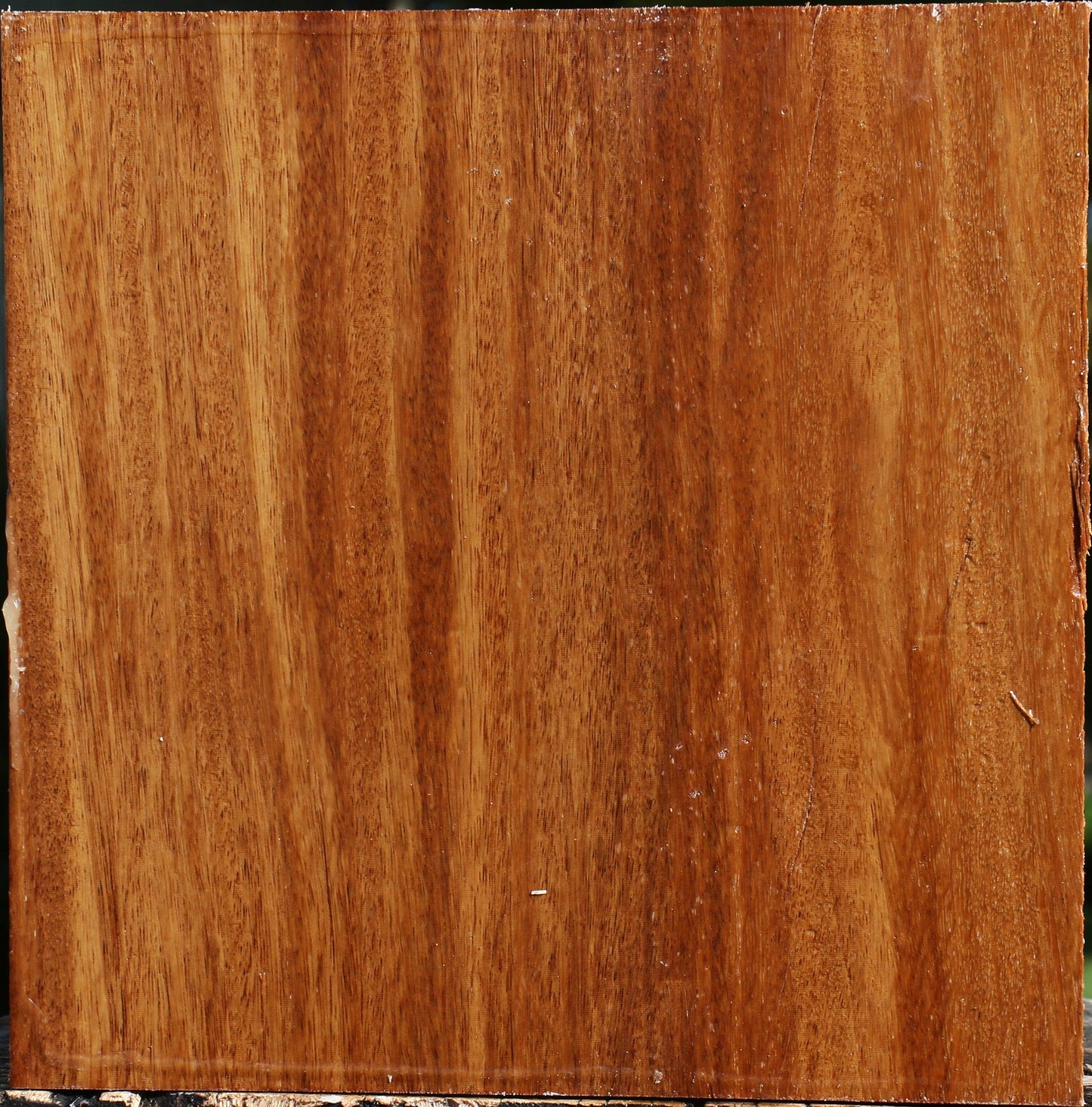 Red Cumaru Bowl Blank