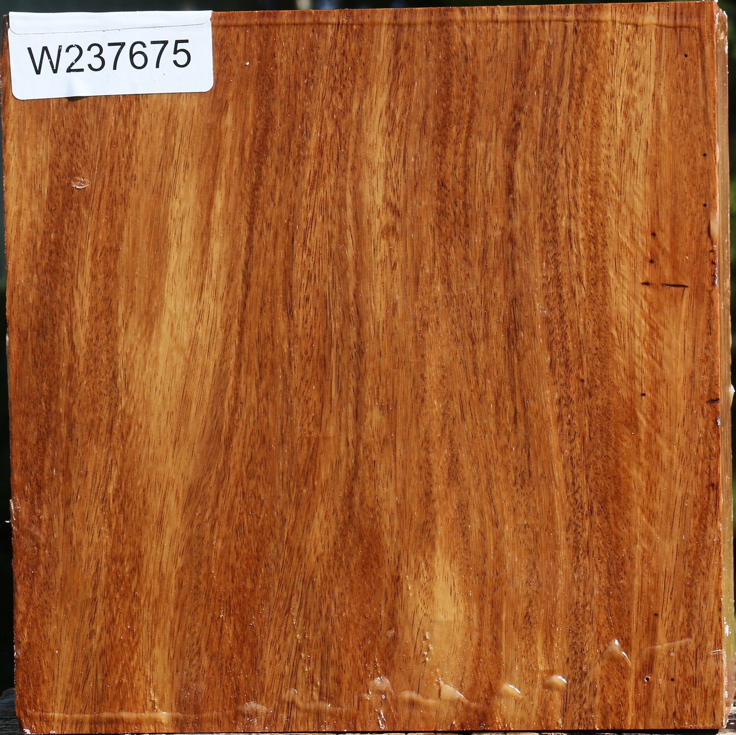 Red Cumaru Bowl Blank