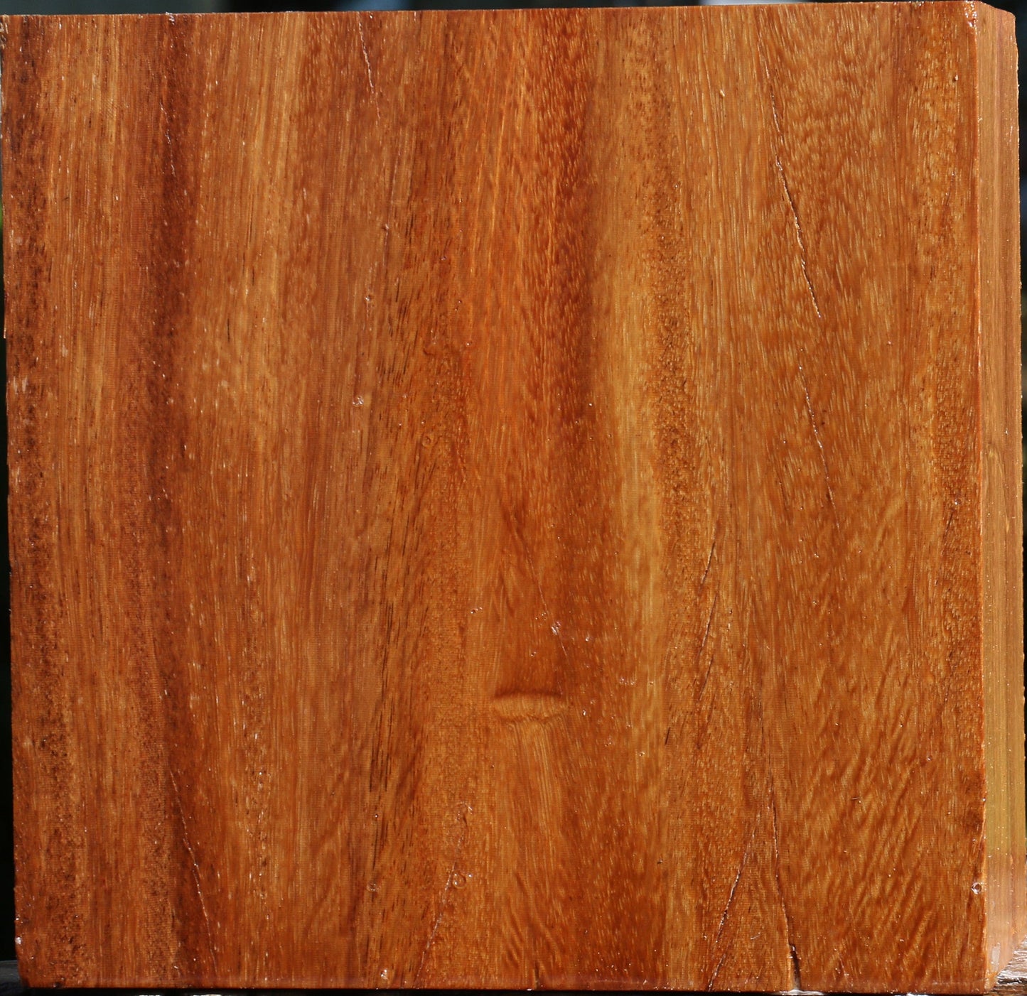 Red Cumaru Bowl Blank