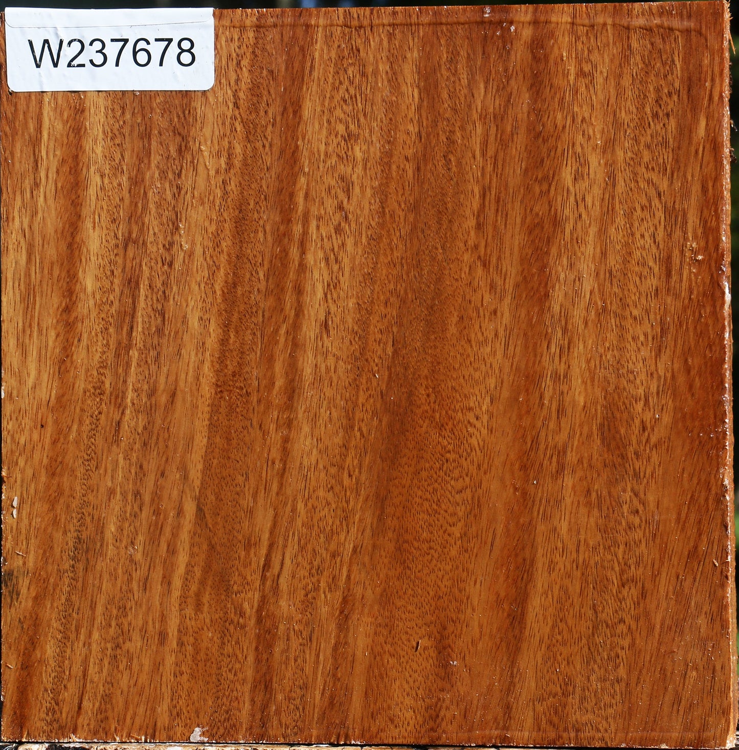 Red Cumaru Bowl Blank