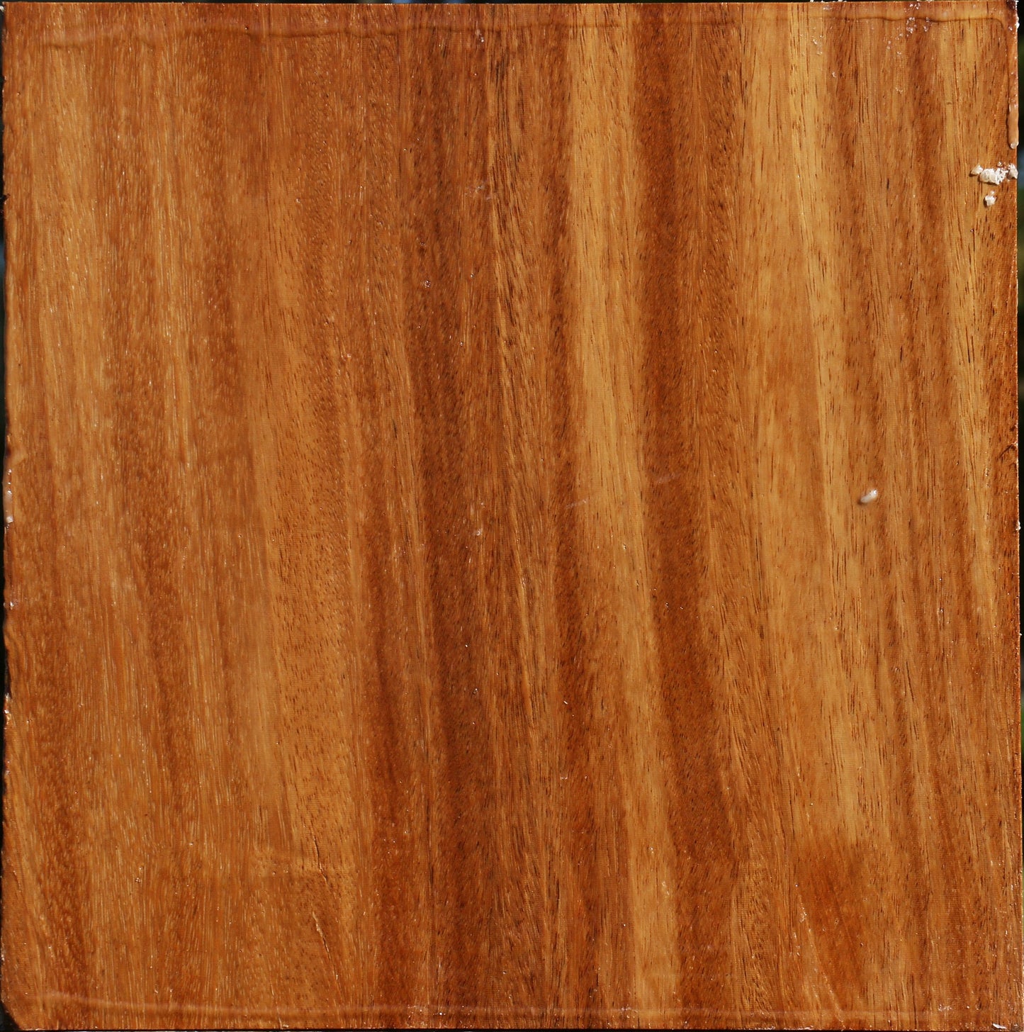 Red Cumaru Bowl Blank