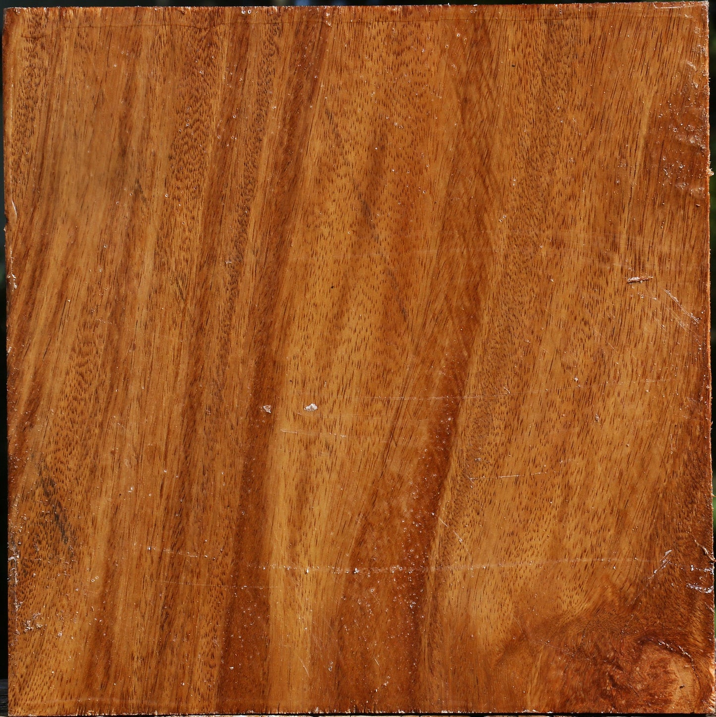 Red Cumaru Bowl Blank