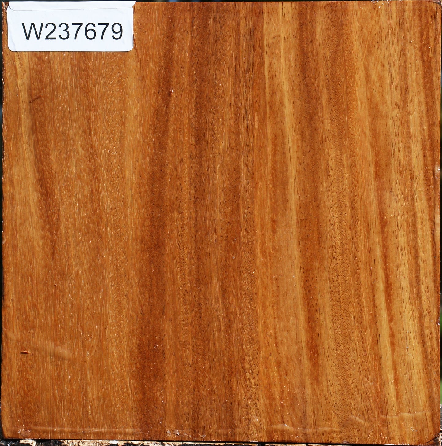 Red Cumaru Bowl Blank