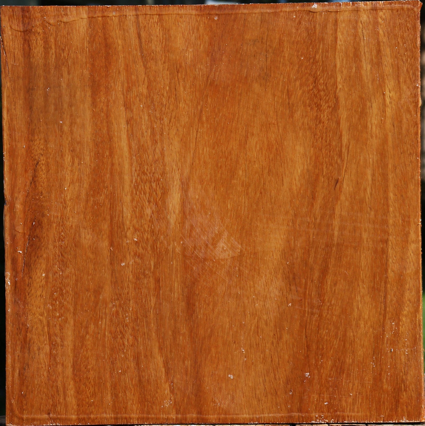 Red Cumaru Bowl Blank