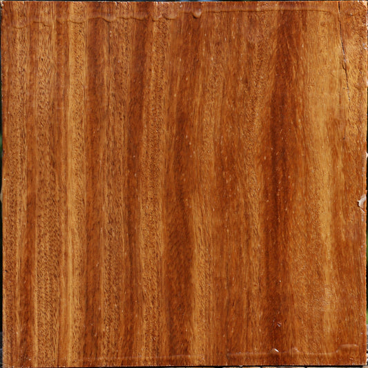 Red Cumaru Bowl Blank