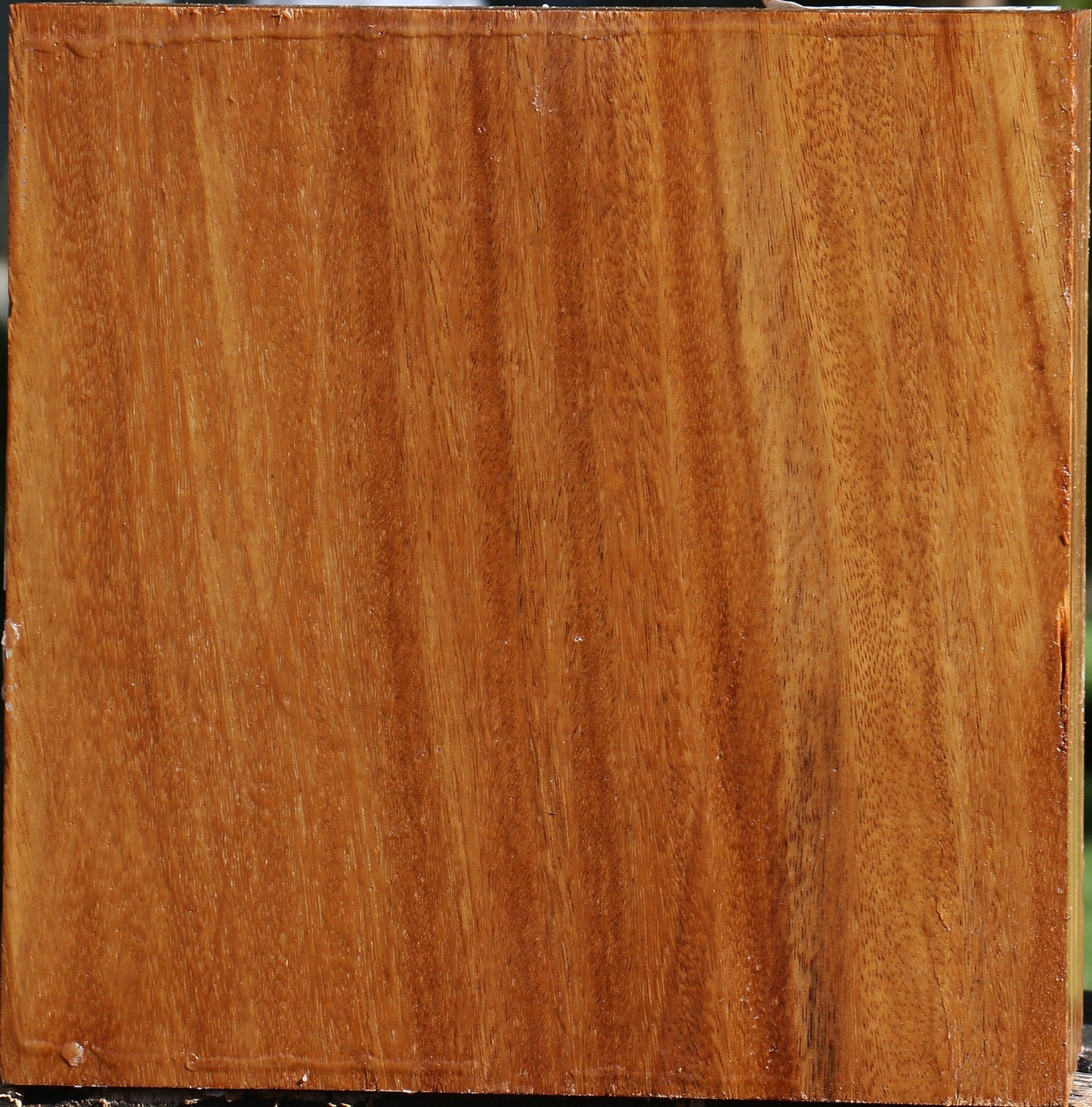 Red Cumaru Bowl Blank