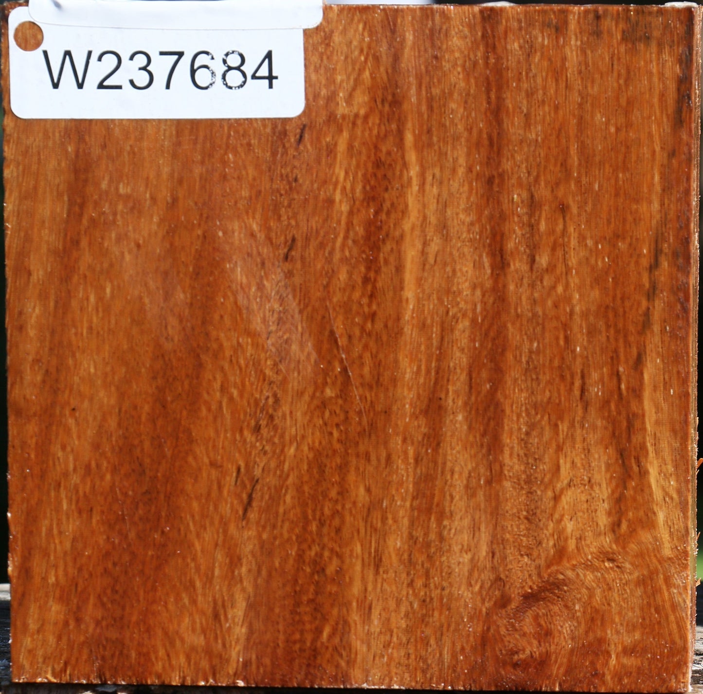 Red Cumaru Bowl Blank