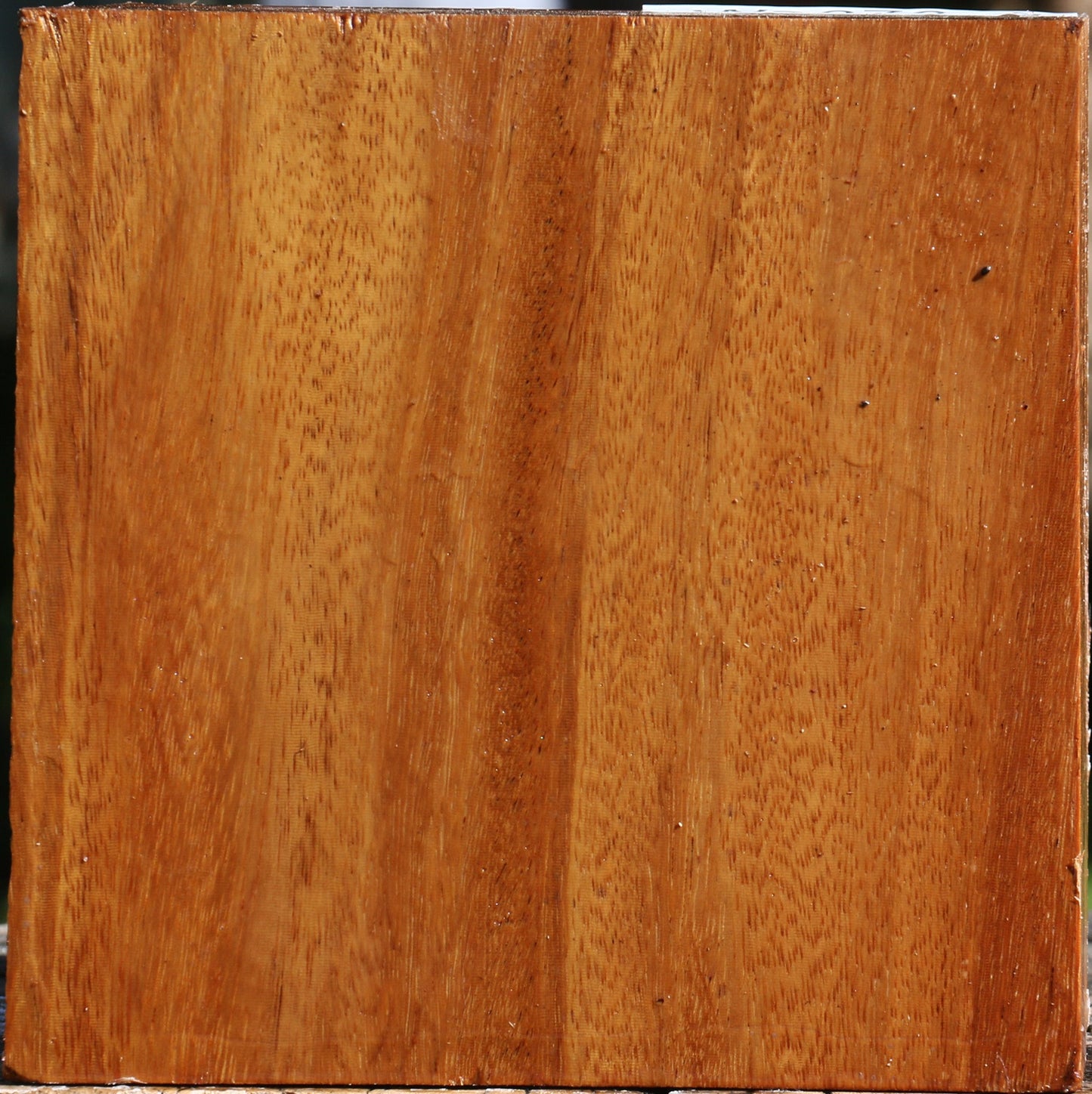 Red Cumaru Bowl Blank