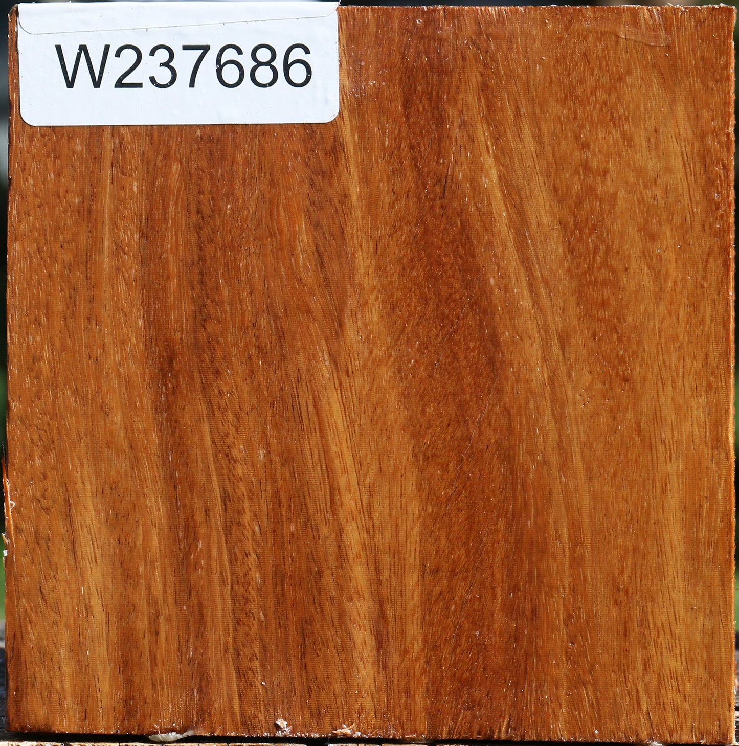 Red Cumaru Bowl Blank