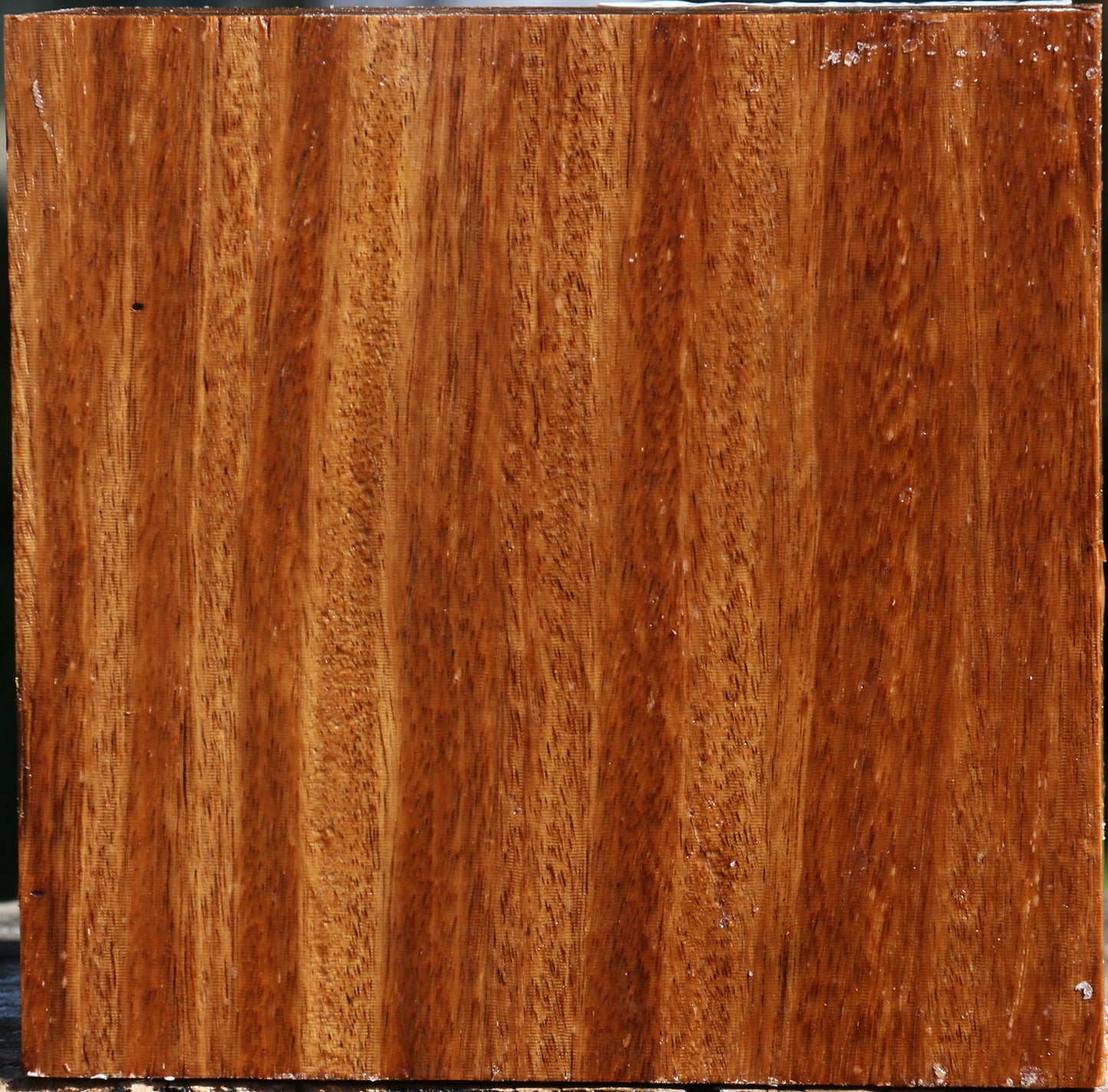 Red Cumaru Bowl Blank