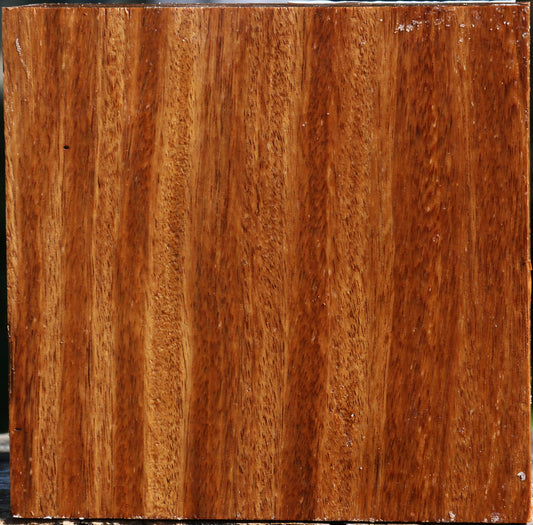 Red Cumaru Bowl Blank