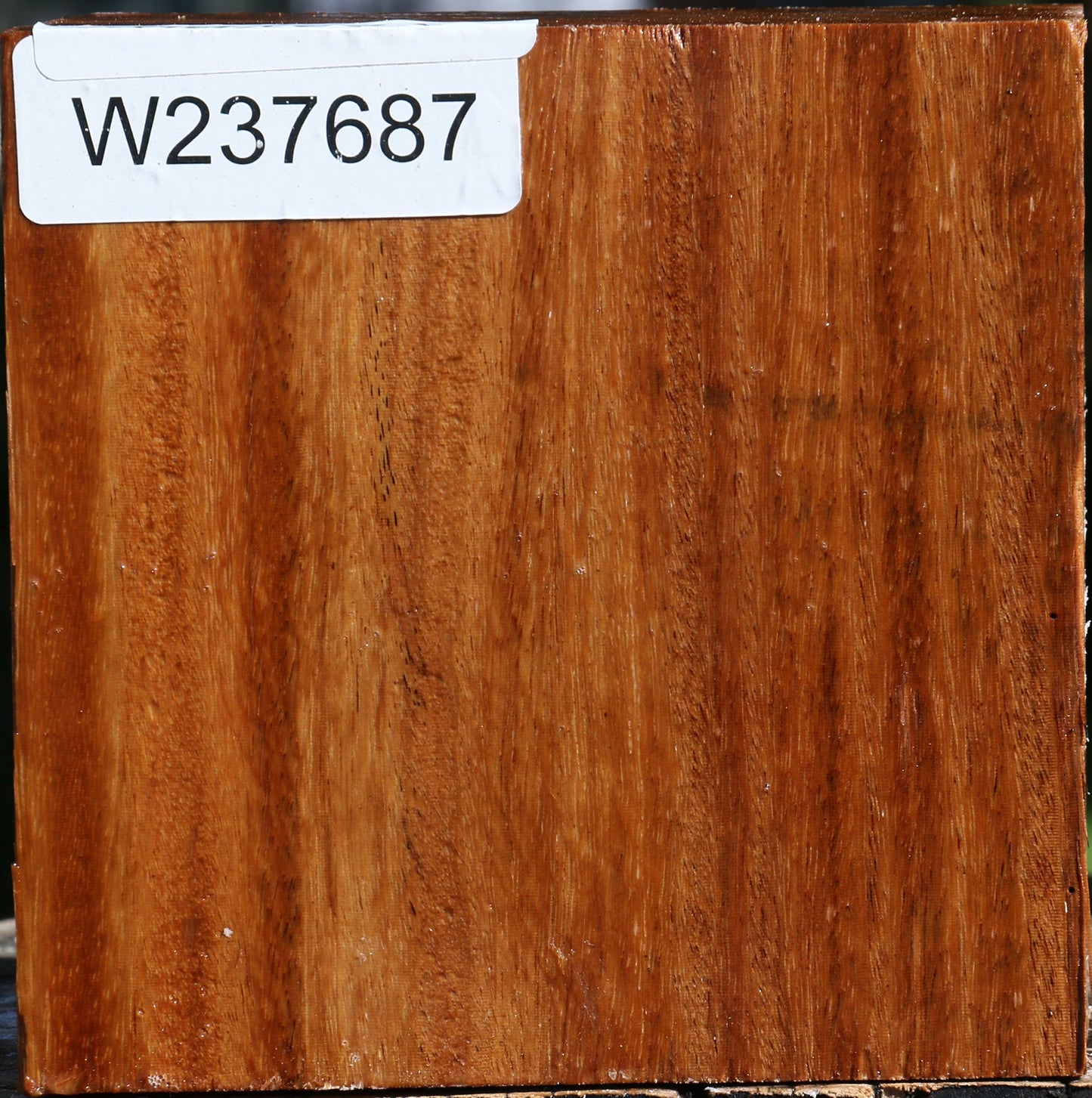 Red Cumaru Bowl Blank