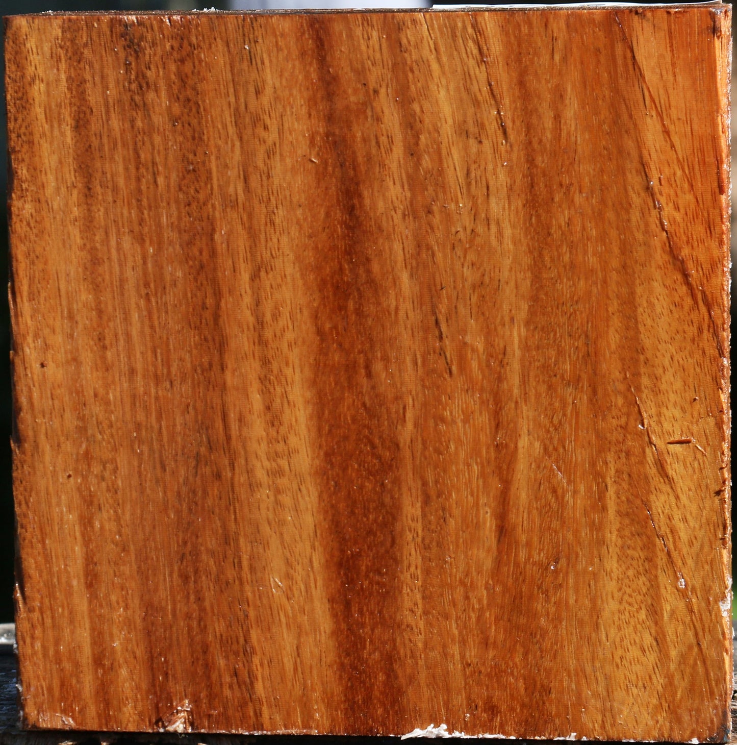 Red Cumaru Bowl Blank