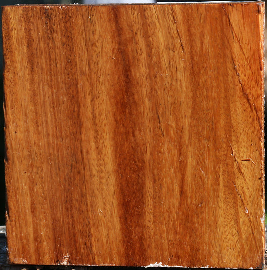 Red Cumaru Bowl Blank