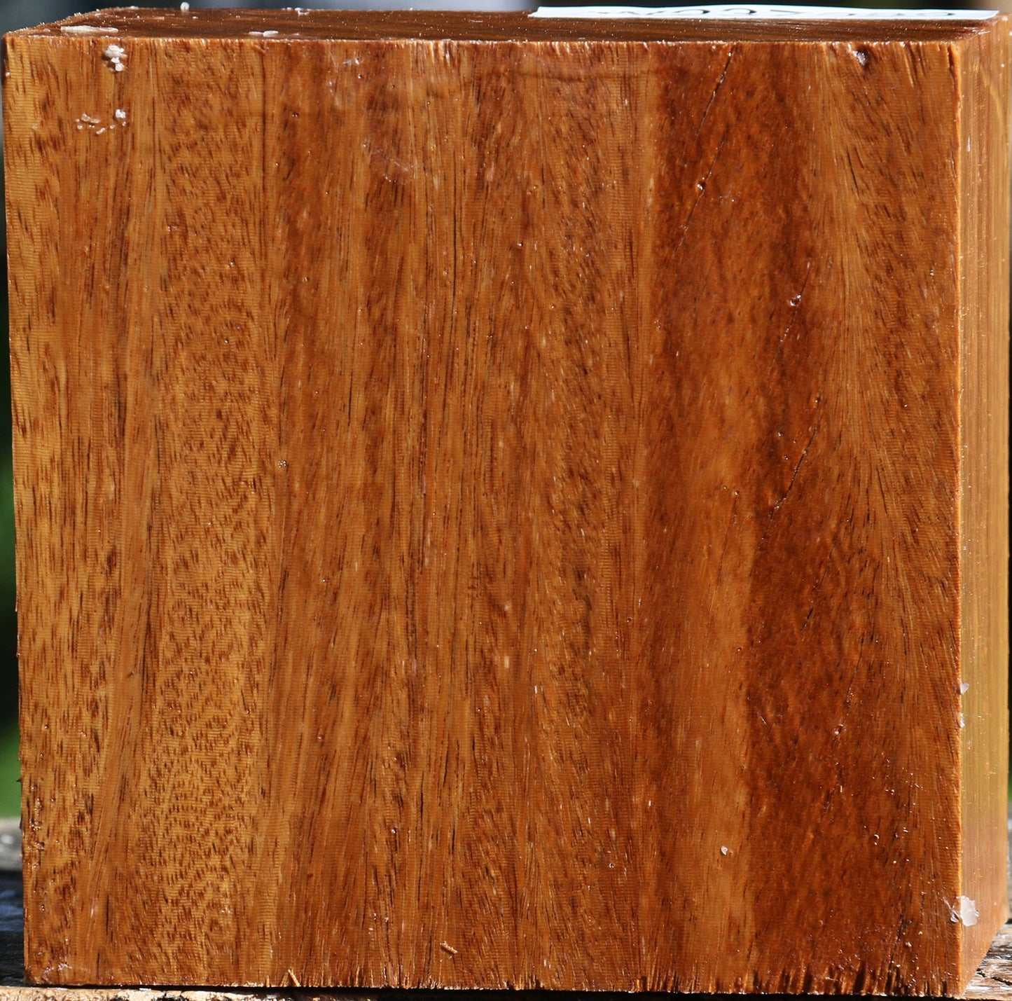 Red Cumaru Bowl Blank