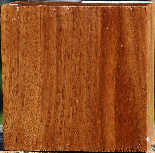 Red Cumaru Bowl Blank