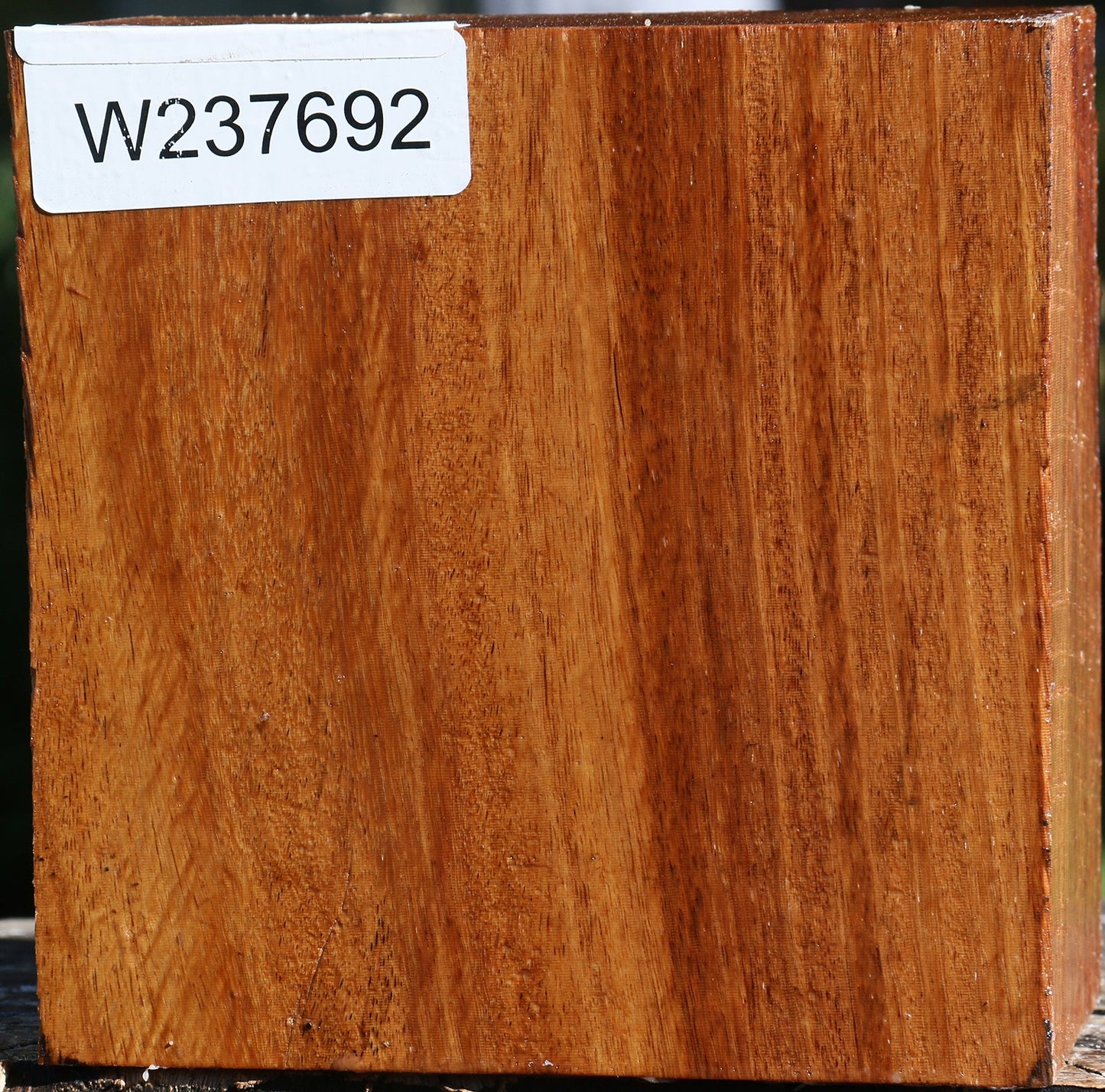 Red Cumaru Bowl Blank